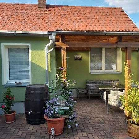 Apartmán Toepferblick Olbersdorf Exteriér fotografie