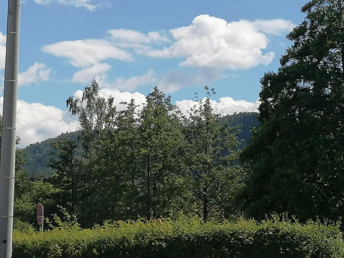 Apartmán Toepferblick Olbersdorf Exteriér fotografie